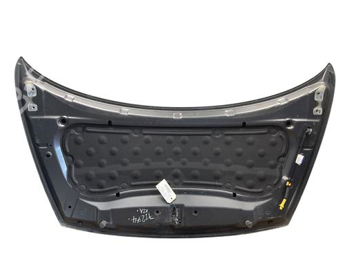 Hood KIA RIO III (UB) 1.2 CVVT | BP25508551C1 