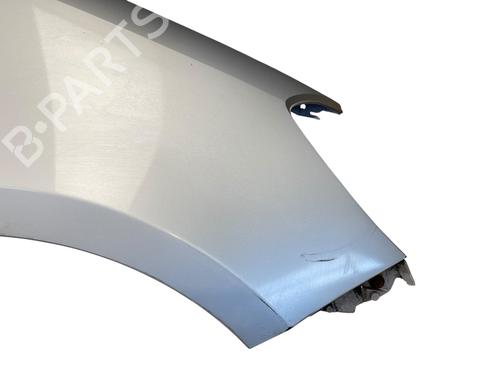 Right front fenders RENAULT CLIO III (BR0/1, CR0/1) 1.2 16V (BR02, BR0J, BR11, CR02, CR0J, CR11) | BP25518208C42 