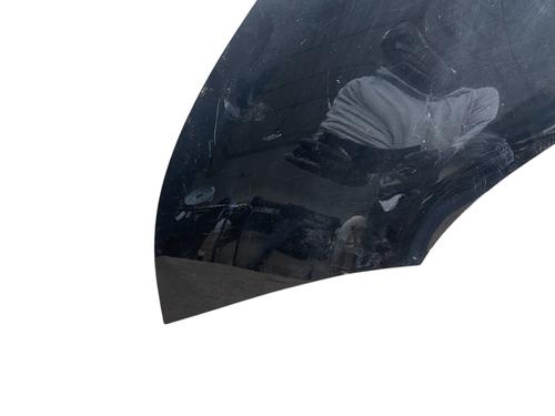 Left front fenders CITROËN C4 Picasso I MPV (UD_) 1.6 HDi | BP28795977C41