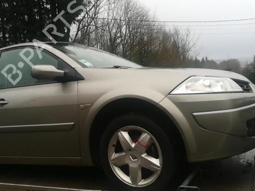 Panel rute bak høyre RENAULT MEGANE II (BM0/1_, CM0/1_) 1.6 16V | BP25560342C92 