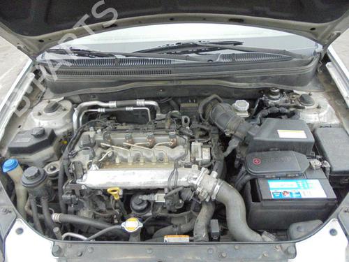 - Image 7
