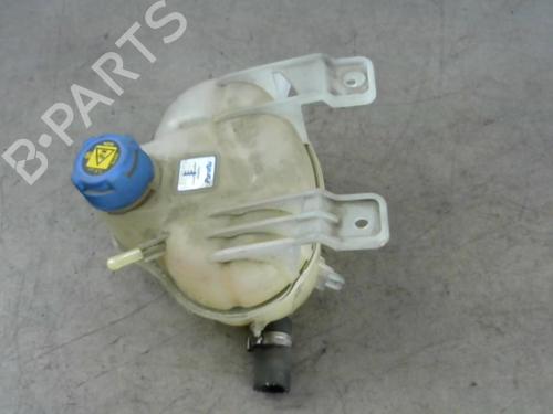 Used Expansion tank FIAT PUNTO EVO (199_) 1.3 D Multijet (199AXC1A, 199BXC1A, 199AXT1A, 199BXT1A) (75 hp) 25515770