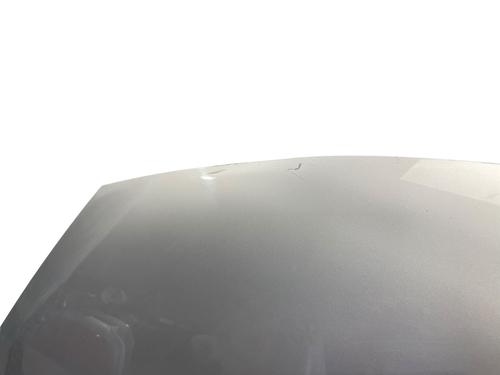 Used Hood Hood DACIA SANDERO 1.5 dCi (68 hp) 25529766 25529766