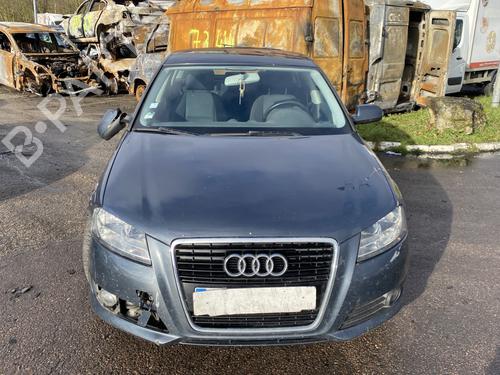 Front left interior door handle AUDI A3 Sportback (8PA) 1.6 TDI | BP25569495I13 