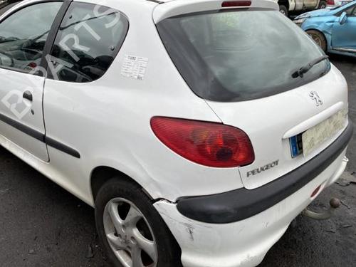Tailgate lift support PEUGEOT 206 Hatchback (2A/C) 1.4 HDi eco 70 | BP25501613C138 
