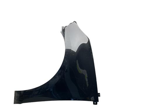 Left front fenders RENAULT SCÉNIC III (JZ0/1_) 1.5 dCi | BP25572418C41 