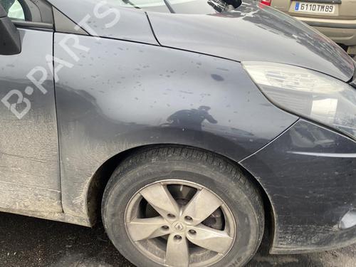 Radio RENAULT SCÉNIC III (JZ0/1_) 1.5 dCi | BP25529018E6 