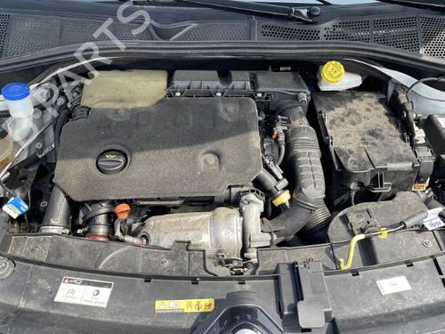 Seat buckle CITROËN C4 CACTUS 1.5 BlueHDi 100 | BP25542379I32  - Image 32