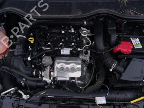 Starter FORD FIESTA VII (HJ, HF) 1.0 EcoBoost | BP25538681M8 - Image 10