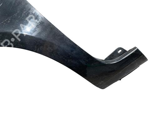 Left front fenders RENAULT CLIO III (BR0/1, CR0/1) 1.5 dCi (C/BR0G, C/BR1G) | BP27589048C41