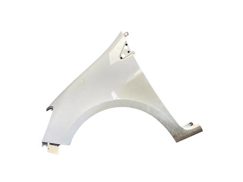 left-front-fenders-renault-clio-iii-br01-cr01-2005-2006-2007-2008-2009-2010-2011-2012-2013-2014-34360271 main image