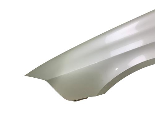 Forkjerm venstre RENAULT LAGUNA II (BG0/1_) 1.9 dCi (BG1A, BG1V) | BP25507688C41 