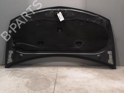 Used Hood RENAULT CLIO III (BR0/1, CR0/1) 1.5 dCi (BR17, CR17) (86 hp) 25538721