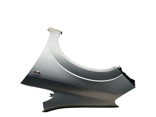 Left front fenders OPEL ZAFIRA / ZAFIRA FAMILY B (A05) 1.9 CDTI (M75) | BP25541209C41 