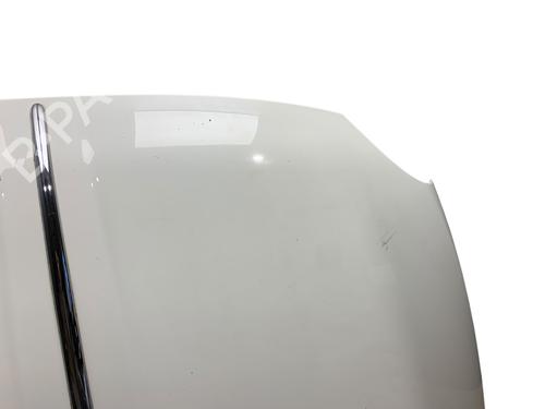 Hood FIAT 500 (312_) 1.2 (312AXA1A) | BP25539827C1 