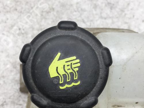 Used Expansion tank Expansion tank RENAULT KOLEOS I (HY_) 2.0 dCi 4x4 (HY0K) (150 hp) 25555983 25555983