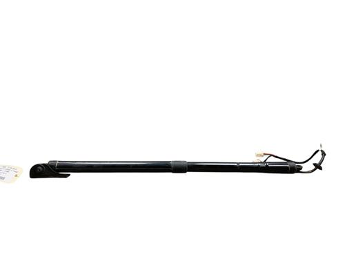 Tailgate lift support CITROËN C4 Picasso II 1.6 HDi / BlueHDi 115 | BP25512955C138 