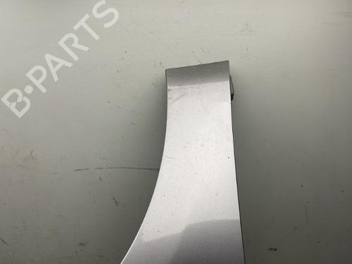 Right front fenders RENAULT SCÉNIC III (JZ0/1_) 1.9 dCi (JZ0J, JZ1J, JZ1K, JZ1S) | BP25510473C42
