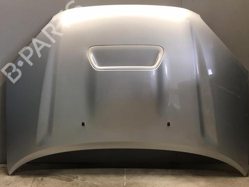 hood-toyota-rav-4-ii-_a2_-2000-2001-2002-2003-2004-2005-25538318 main image