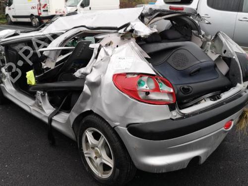 Servostyringspumpe PEUGEOT 206 Hatchback (2A/C) 1.4 i | BP25561157M99 