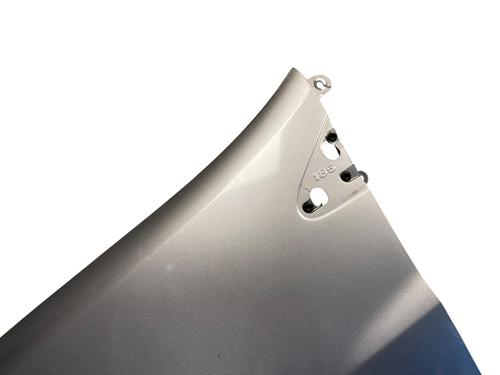 Left front fenders RENAULT CLIO III (BR0/1, CR0/1) 1.5 dCi (C/BR0G, C/BR1G) | BP28203655C41