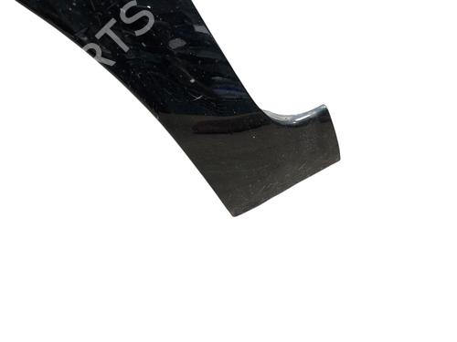 Left front fenders CITROËN C4 Picasso I MPV (UD_) 1.6 HDi | BP28795977C41