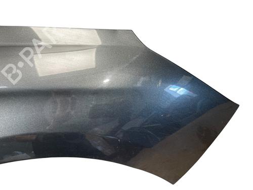 Right front fenders CITROËN C4 II (NC_) 1.6 HDi 115 | BP25509151C42 