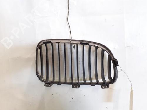 Used Grille BMW 1 (E87) 118 d (143 hp) 24784645