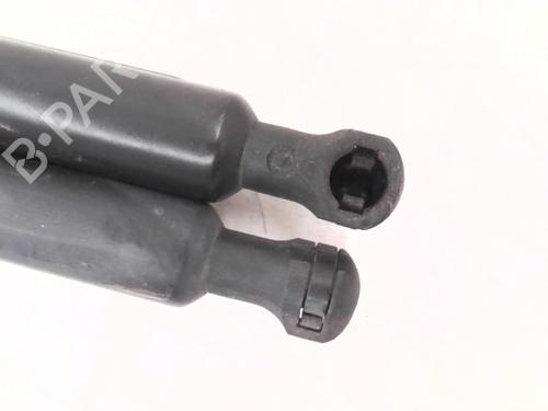 Tailgate lift support RENAULT SCÉNIC III (JZ0/1_) 1.5 dCi | BP29071678C138 