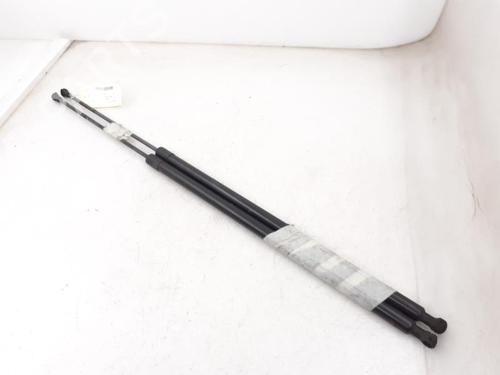 Used Tailgate lift support RENAULT KANGOO / GRAND KANGOO II (KW0/1_) 1.6 16V FLEX (KW01) (106 hp) 24785170