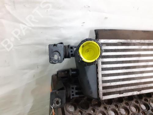 Intercooler FIAT 500 (312_) 1.3 D Multijet (312AXB1A) | BP24781336M30 