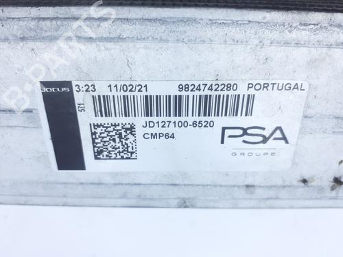 Intercooler PEUGEOT 2008 II (UD_, US_, UY_, UJ_, UR_, UC_) 1.5 BlueHDI 130 | BP30154270M30