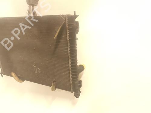Køler NISSAN QASHQAI / QASHQAI +2 I (J10, NJ10, JJ10E) 1.6 dCi | BP24796558M31 