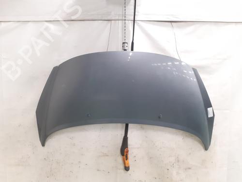 Used Hood PEUGEOT 207 (WA_, WC_) 1.6 HDi (90 hp) 26410053