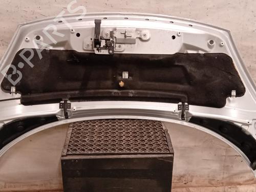 Hood RENAULT SCÉNIC III (JZ0/1_) 1.5 dCi | BP29829511C1