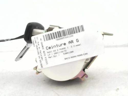 Used Rear left belt tensioner AUDI A3 (8P1) 2.0 TDI 16V (140 hp) 24782323