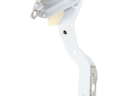 Hinge/Door check strap RENAULT MASTER III Platform/Chassis (EV, HV, UV) | BP35789183C146 - Image 2