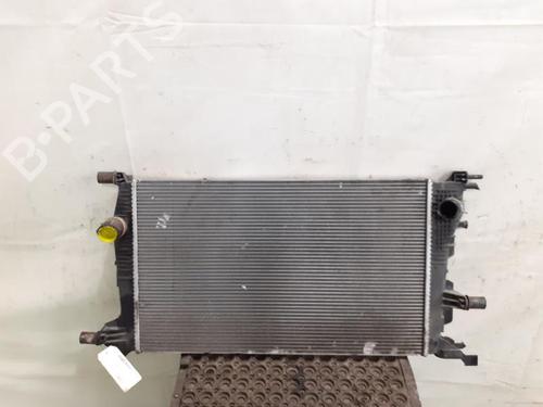 Køler RENAULT MEGANE III Hatchback (BZ0/1_, B3_) 1.5 dCi (BZ09, BZ0D, BZ1W, BZ29, BZ14) (110 hp) 24784015