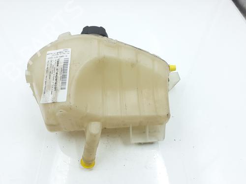 Expansion tank RENAULT KANGOO Express (FW0/1_) 1.5 dCi 80 (FW15) | BP24797794C120 