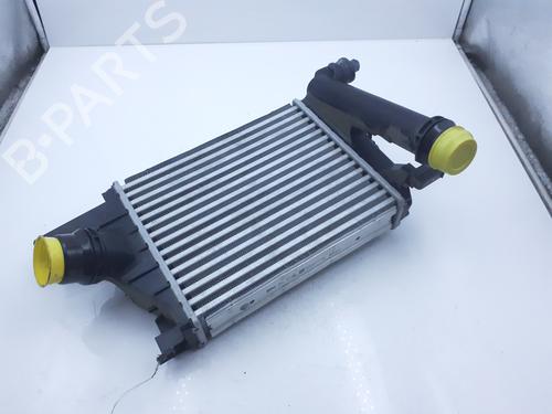 Intercooler RENAULT EXPRESS Box Body/MPV | BP36786920M30 - Image 3