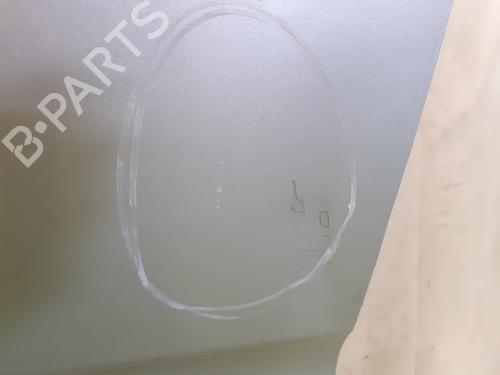 Left front door NISSAN PATHFINDER III (R51) 2.5 dCi 4WD | BP27890914C2 