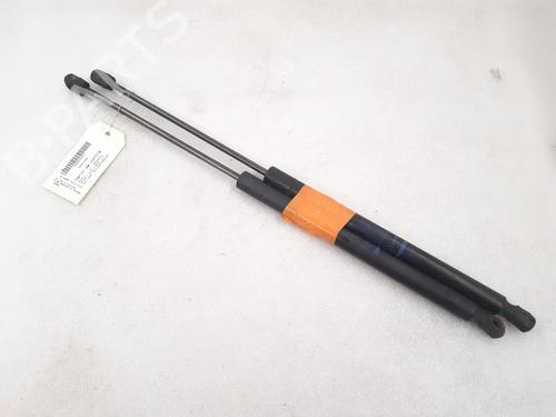 Used Tailgate lift support RENAULT MEGANE II Estate (KM0/1_) 1.9 dCi (131 hp) 24793875