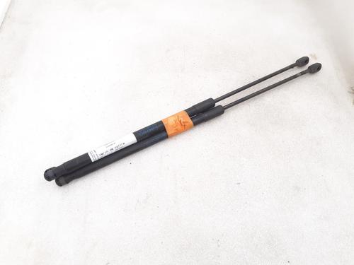 Used Tailgate lift support BMW X1 (E84) sDrive 18 d (143 hp) 24796641