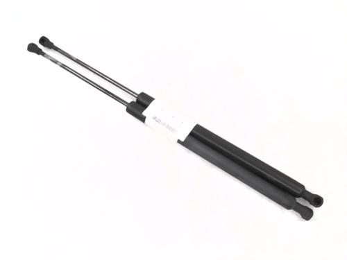 Used Tailgate lift support RENAULT SCÉNIC III (JZ0/1_) 1.5 dCi (106 hp) 29071678