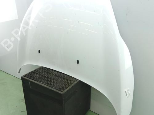 hood-ford-fiesta-vi-cb1-ccn-2008-40055926 main image