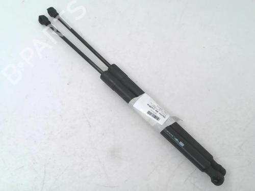 Tailgate lift support RENAULT CLIO IV (BH_) 1.5 dCi 75 | BP24779947C138 