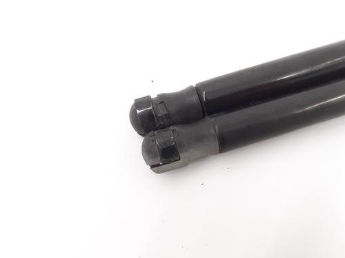 Tailgate lift support RENAULT MEGANE I (BA0/1_) 1.9 D Eco (BA0A, BA0U, BA0R) | BP29556014C138 