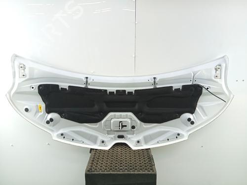 hood-renault-master-iii-platformchassis-ev-hv-uv-2010-36468406 main image