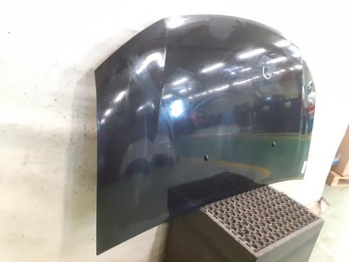 Hood DACIA SANDERO II TCe 90 (B8M1, B8MA, B8AC) | BP29880340C1 