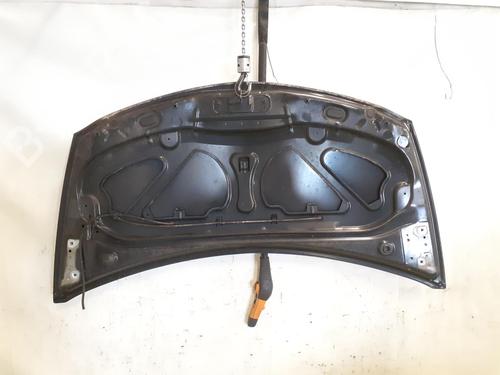 Hood RENAULT CLIO III (BR0/1, CR0/1) 1.2 16V (BR02, BR0J, BR11, CR02, CR0J, CR11) | BP24794012C1
